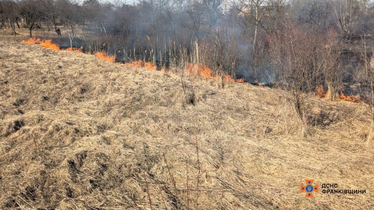 На Франківщині з початку року сталося 1022 пожежі сухої трави, 67 паліїв оштрафували