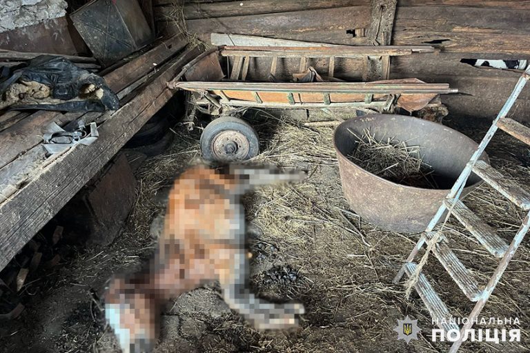 На Хмельниччині чоловік знущався над кіньми: знайшли труп тварини (ФОТО) 2 На Хмельниччині чоловік знущався над кіньми: знайшли труп тварини (ФОТО)