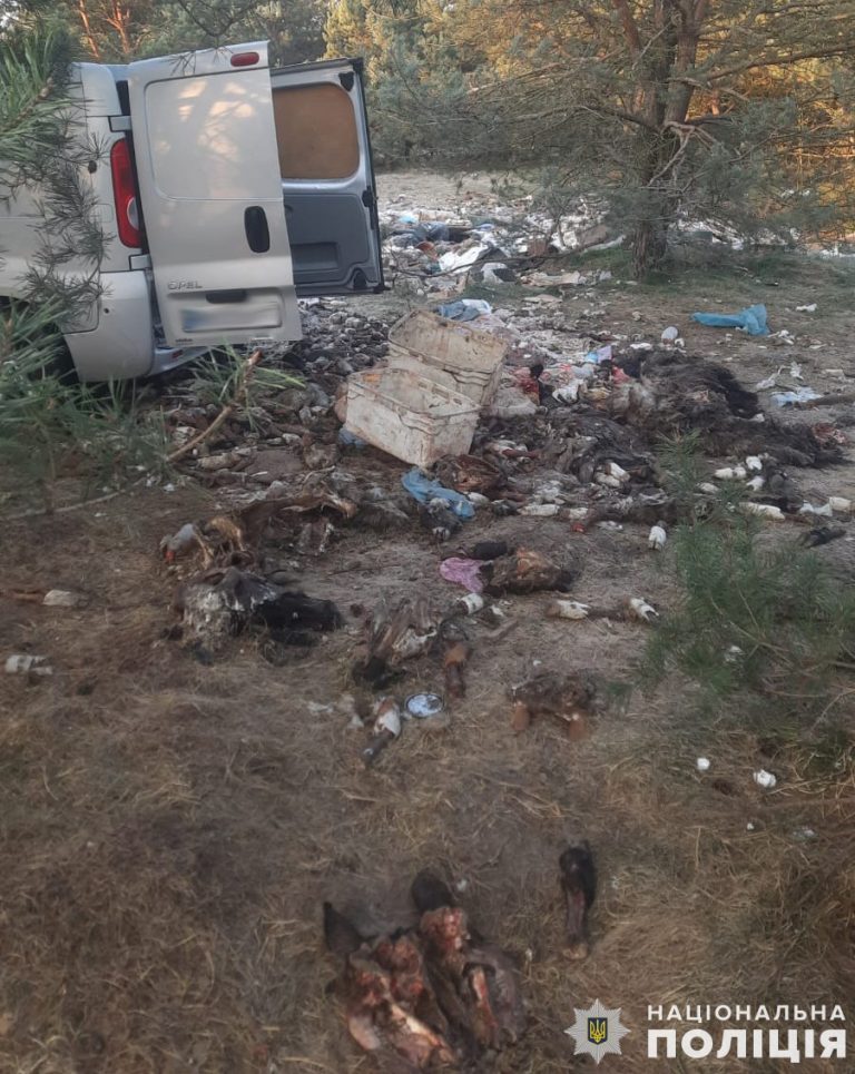 На Львівщині двоє місцевих жителів викинули рештки яловичих туш (ФОТО) 4 487283815 1071430368362067 6807530945098997906 n