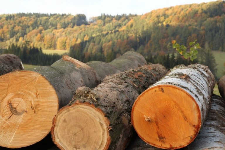 Збитки на чотири мільйони гривень: голосили підозру експосадовцю з Прикарпаття 9 EWBw9wqXYAAB8TD 1024x683 1