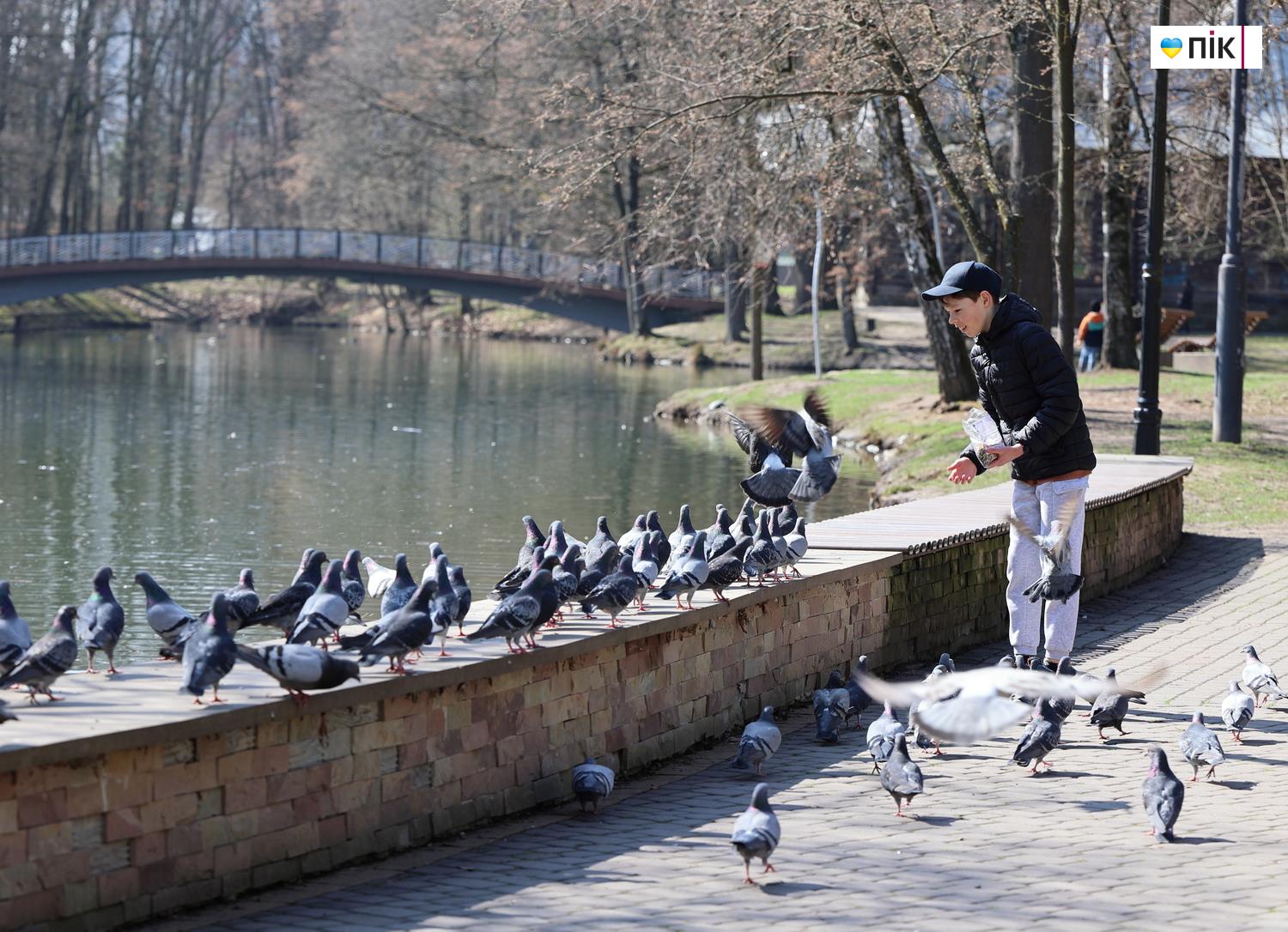 Люди Прикарпаття: дозвілля на міському озері в Івано-Франківську (ФОТО) 27 IMG 7509 resize
