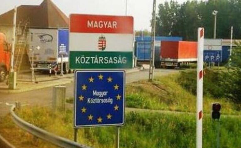 В Україні запровадили обмеження на ввезення вантажів з Угорщини: причина 2 В Україні запровадили обмеження на ввезення вантажів з Угорщини через спалах ящуру
