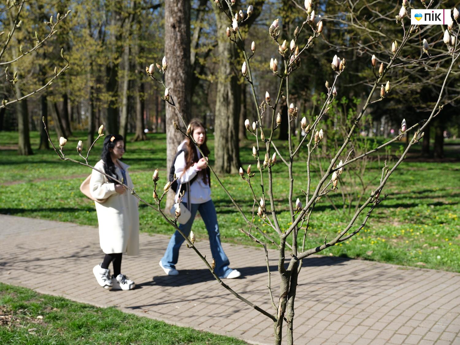 Люди Прикарпаття: весняна краса в Івано-Франківську (ФОТО) 11 DSCF1220 resize