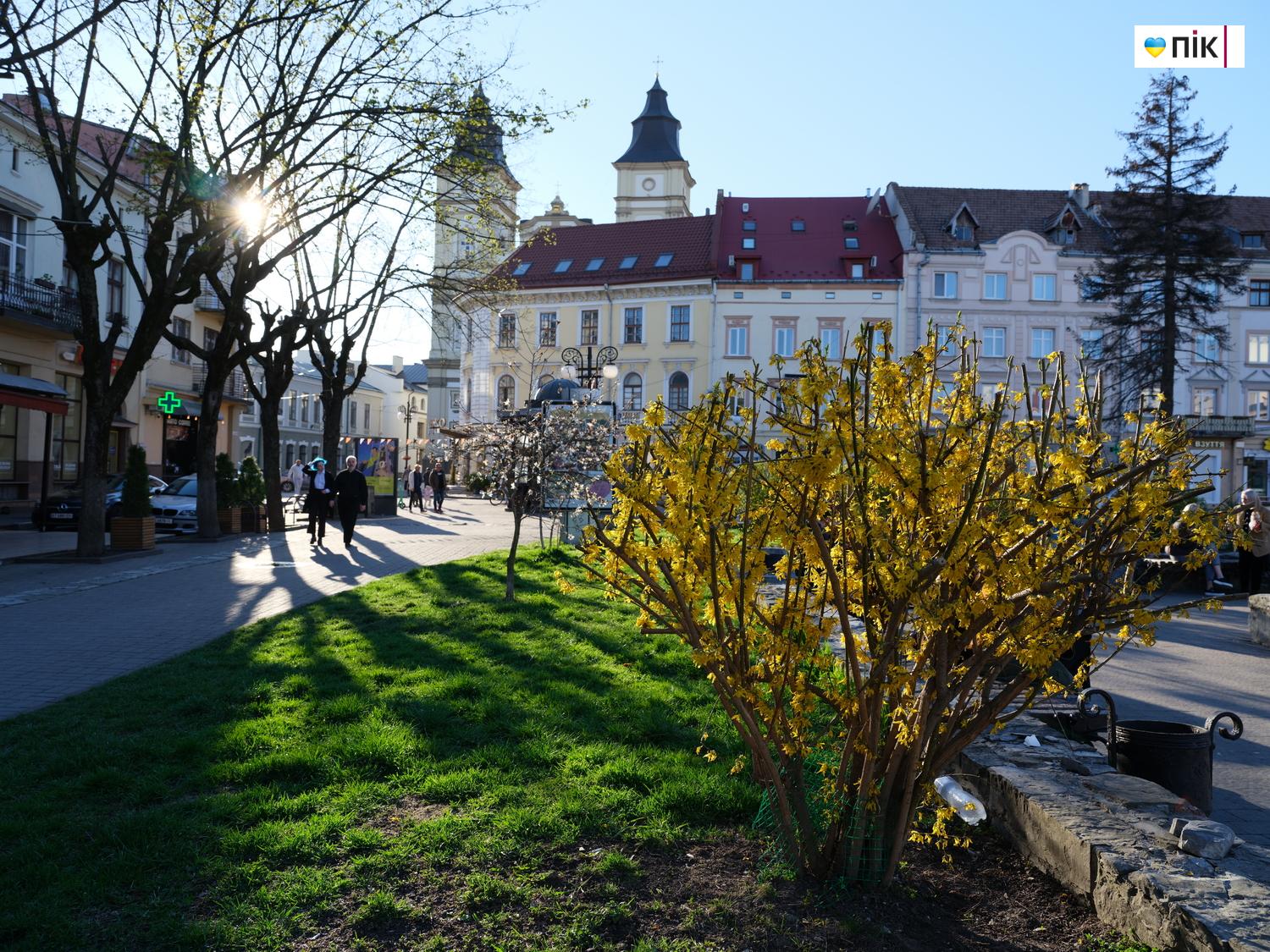 Люди Прикарпаття: весняна краса в Івано-Франківську (ФОТО) 18 DSCF1561 resize