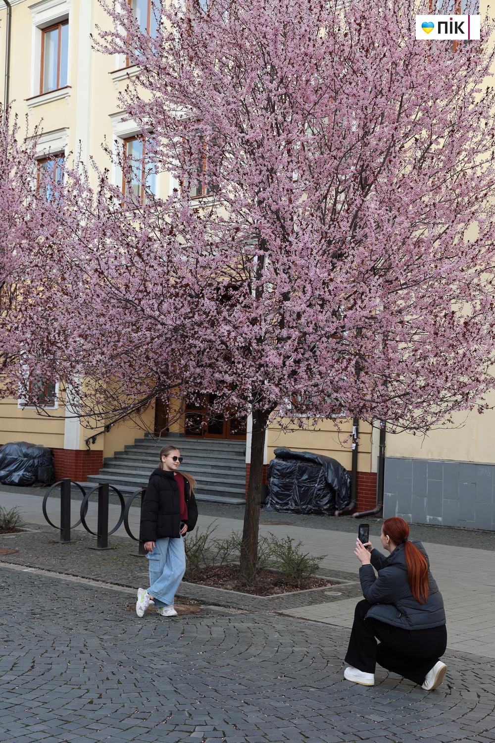 Люди Прикарпаття: весняна краса в Івано-Франківську (ФОТО) 26 IMG 9733 resize
