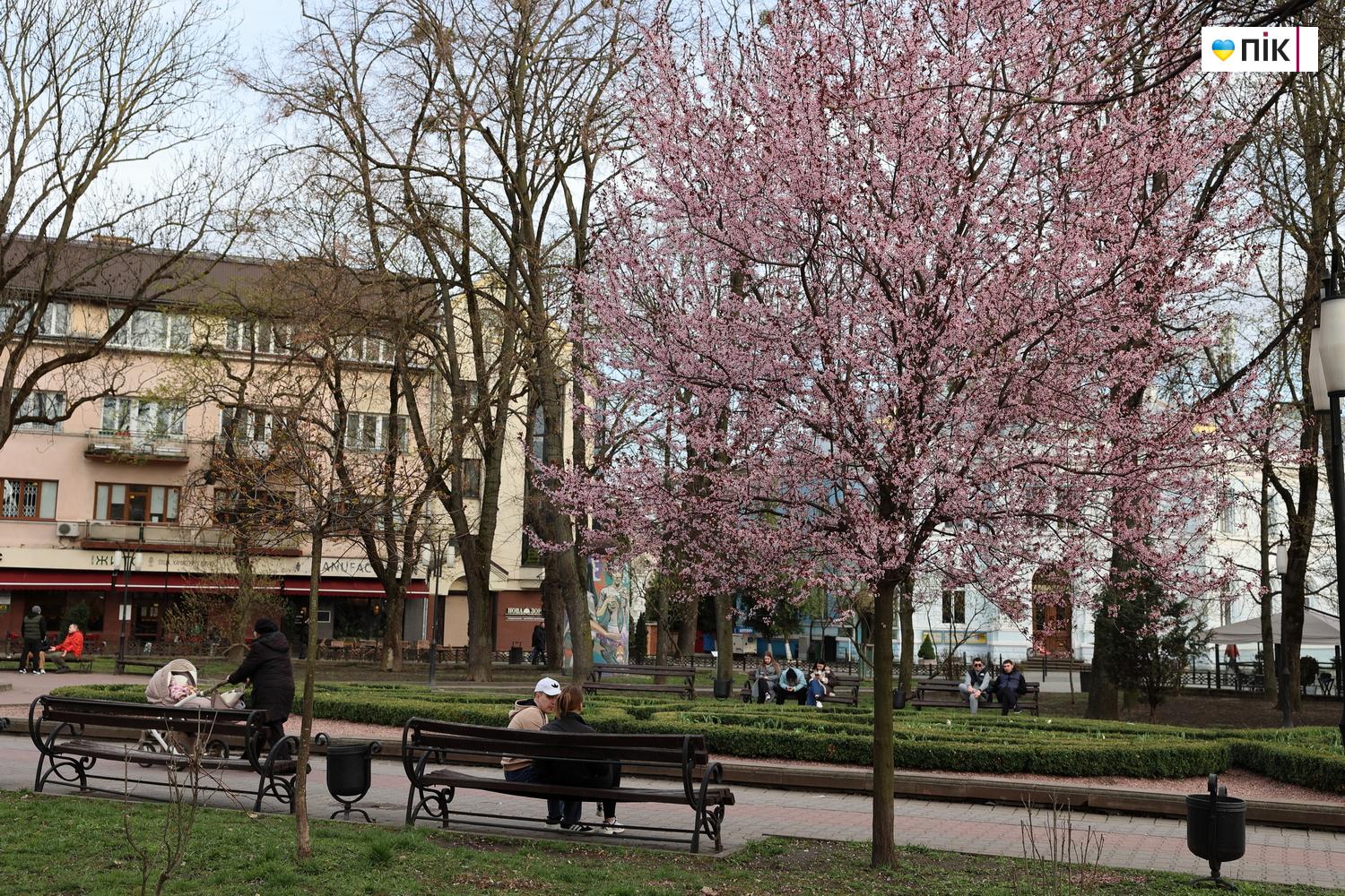 Люди Прикарпаття: весняна краса в Івано-Франківську (ФОТО) 28 IMG 9753 resize
