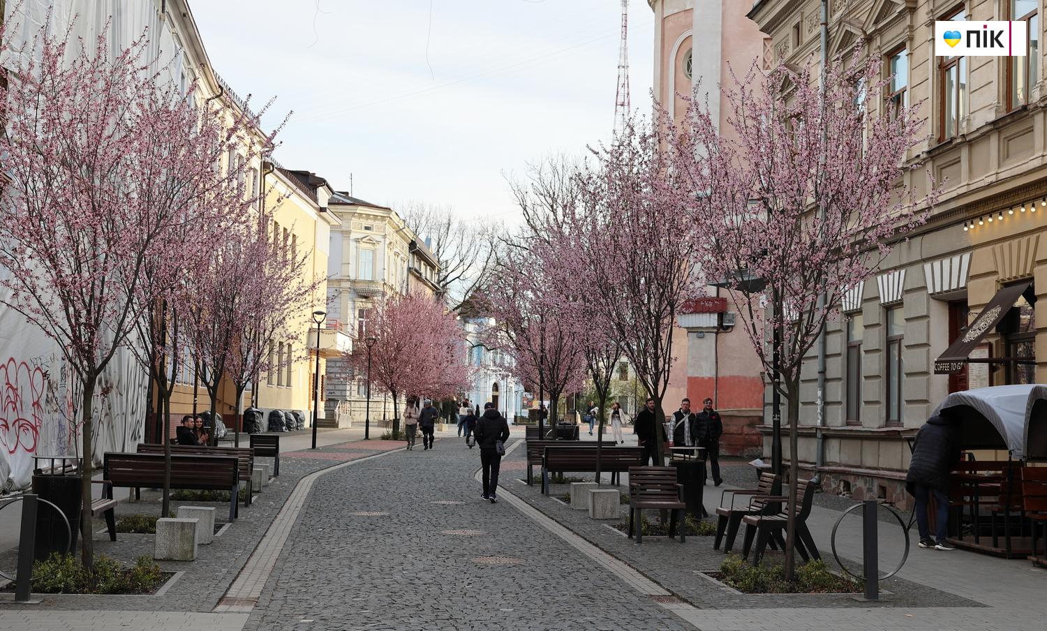 Люди Прикарпаття: весняна краса в Івано-Франківську (ФОТО) 32 IMG 9790 resize
