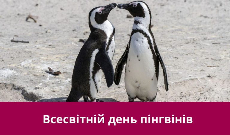 25 квітня 2025 року: яке сьогодні свято, іменини, події 2 NA SAJT KARTYNKA 20250424 223332 0000