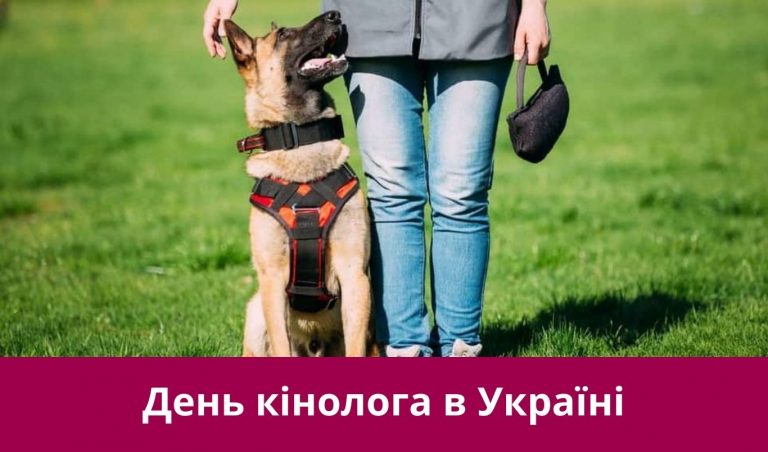 Synyj y Fyoletovyj Povsednevnyj Korporatyvnyj Tehnologycheskyj Vnutrennye Kommunykatsyy Veb sajt 44 1