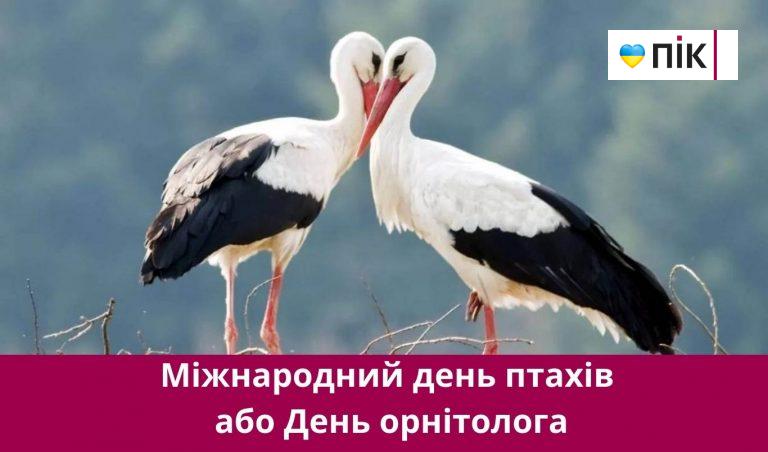 1 квітня 2025 року: яке сьогодні свято, події, іменини 9 Synyj y Fyoletovyj Povsednevnyj Korporatyvnyj Tehnologycheskyj Vnutrennye Kommunykatsyy Veb sajt 44