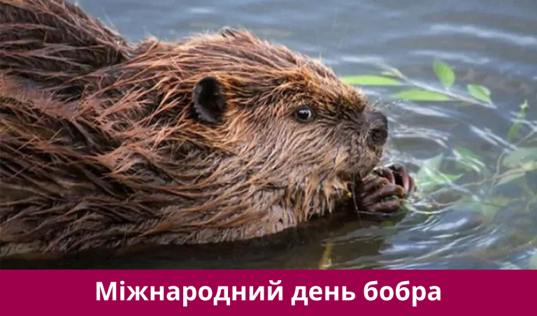 Сьоме квітня 2025 року: яке сьогодні свято, подія, іменини 8 Synyj y Fyoletovyj Povsednevnyj Korporatyvnyj Tehnologycheskyj Vnutrennye Kommunykatsyy Veb sajt 6