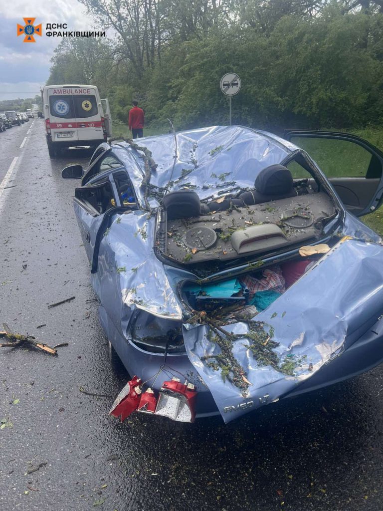 Негода на Рогатинщині: дерево впало на авто, травмована жінка (ФОТО) 5 494909132 990792249876805 344766552026939101 n
