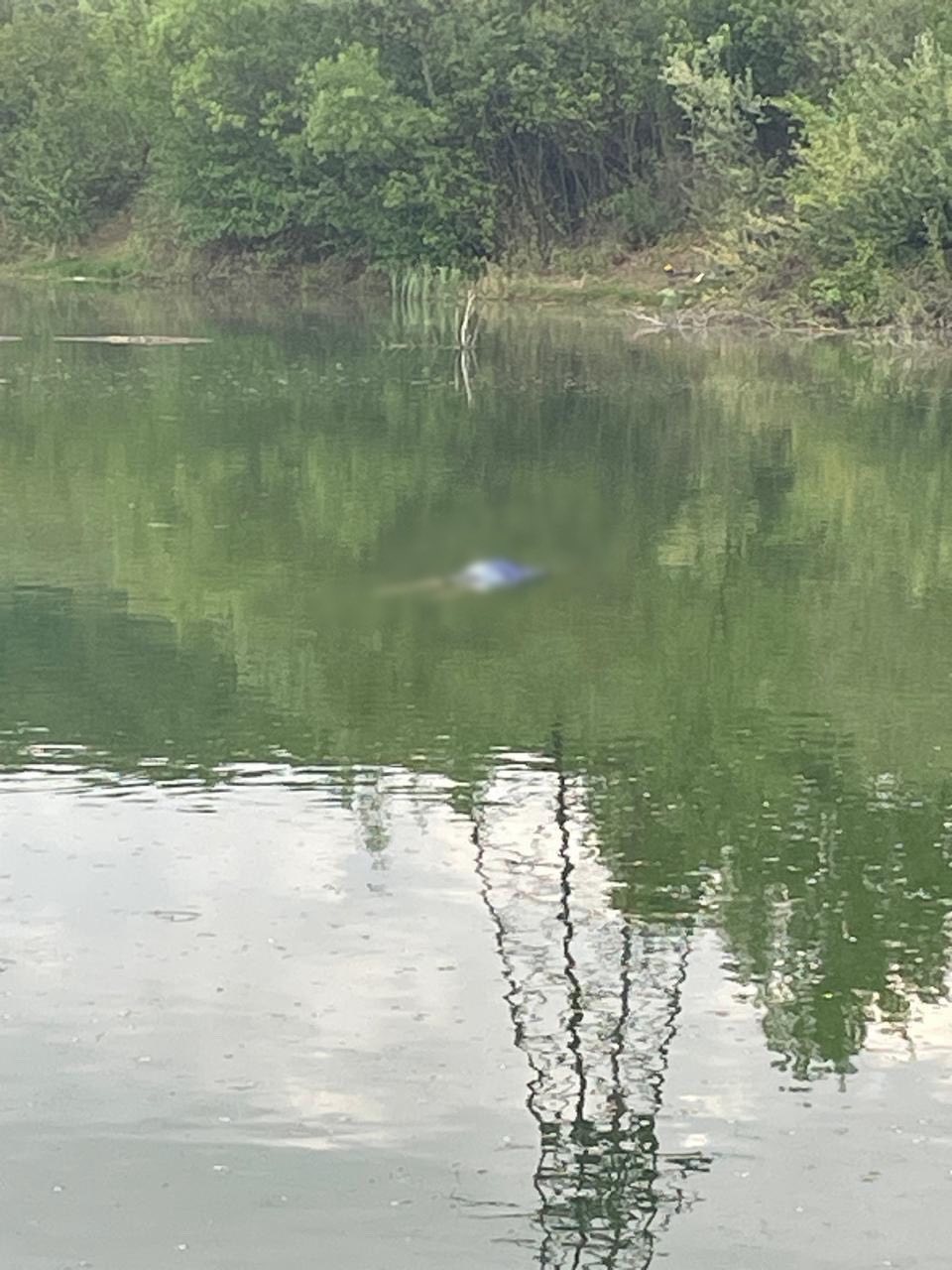 На Косівщині рятувальники витягли з водойми тіло жінки (ФОТО) 1 495189995 990926326530064 7391174286577490669 n