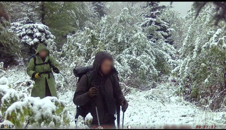 Потрапили у фотопастку: в Карпатах затримали ще двох ухилянтів (ФОТО) 3 496800177 1023069470003482 6959267331925773504 n