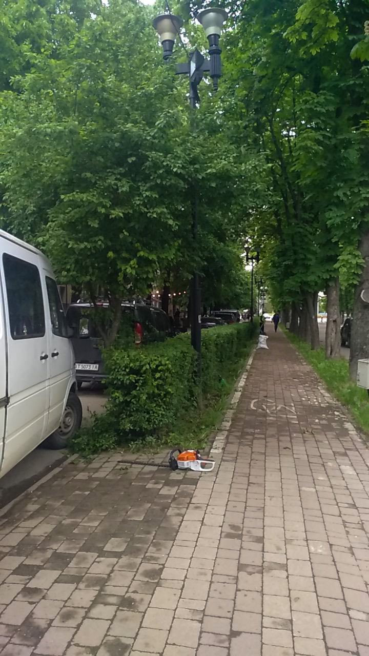 У Франківську проводять сезонну обрізку дерев та кущів: де саме (ФОТО)