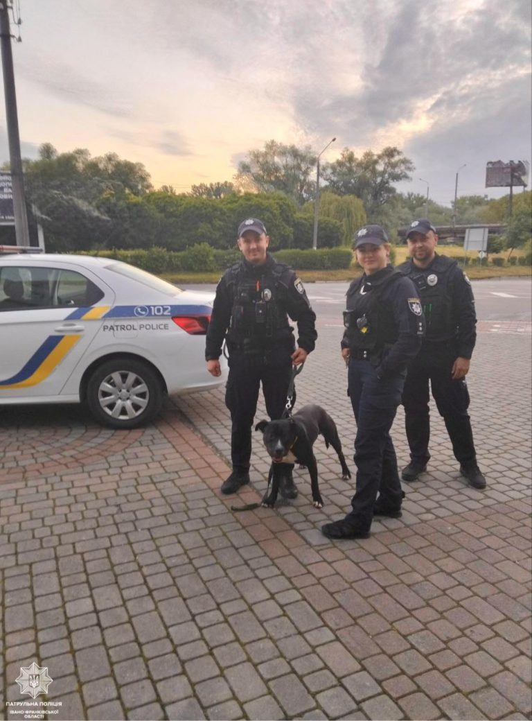У Франківську власниці повернули загубленого собаку (ФОТО) 7 500211578 1150757043758572 4704603791902889820 n 1