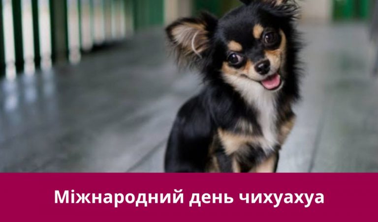 14 травня 2025 року: яке сьогодні свято, події, іменини 11 14 травня 2025 року: яке сьогодні свято, події, іменини