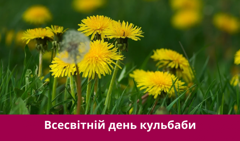 13 травня 2025 року: яке сьогодні свято, події, іменини 2 13 травня 2025 року: яке сьогодні свято, події, іменини
