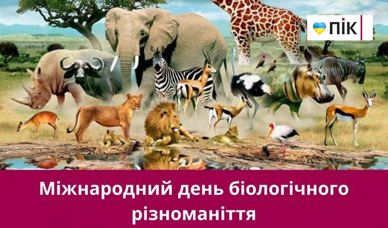 22 травня 2025 року: яке сьогодні свято, події, іменини 3 NA SAJT KARTYNKA 4 1