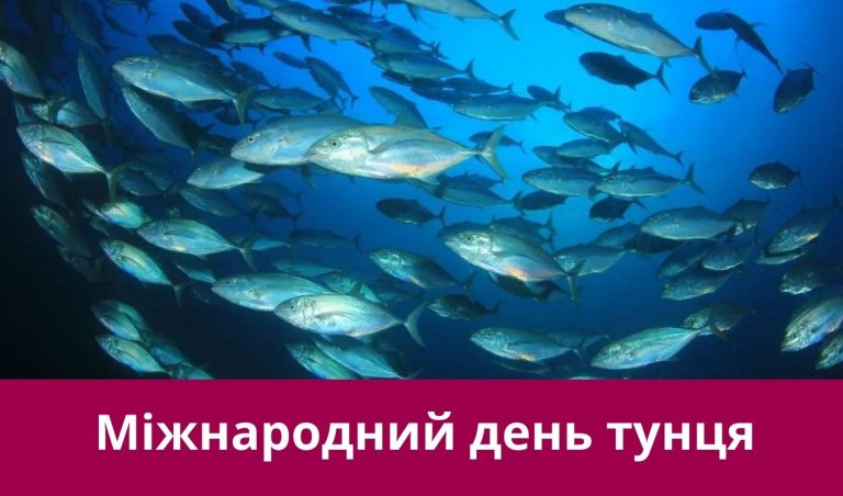 Друге травня 2025 року: яке сьогодні свято, іменини, події 5 NA SAJT KARTYNKA 5