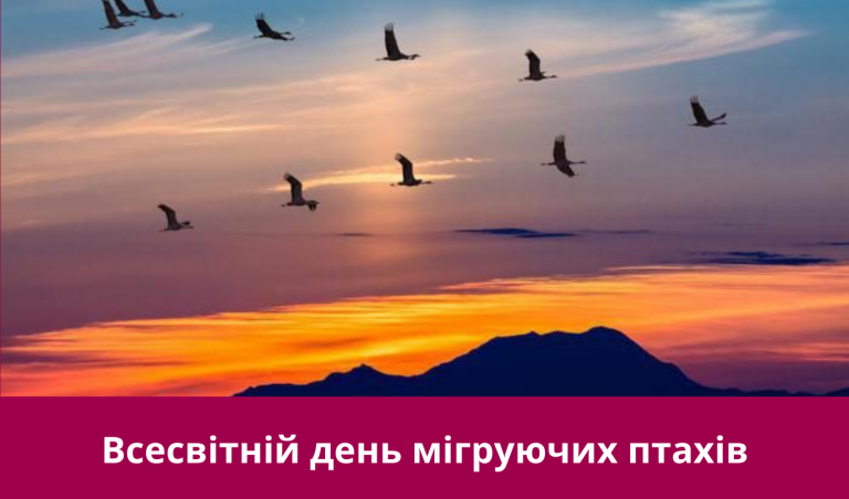 10 травня 2025 року: яке сьогодні свято, події, іменини 12 10 травня 2025 року: яке сьогодні свято, події, іменини