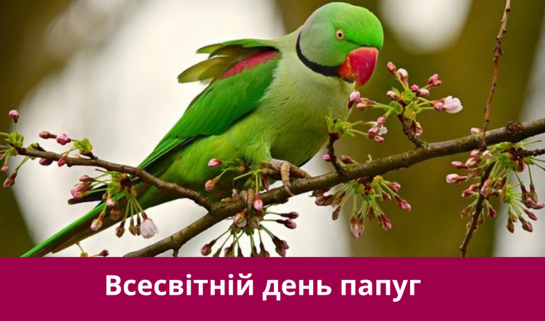 NA SAJT KARTYNKA 20250531 072226 0000