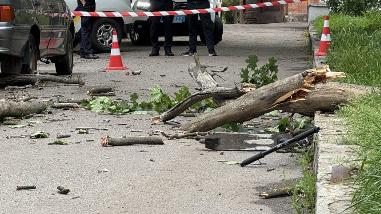 У Полтаві на хлопчика впало дерево: у якому він стані (ФОТО)