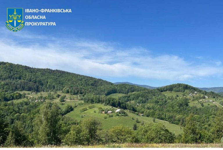 У нацпарку "Гуцульщина" незаконно вирубали дерев на понад 25 мільйонів гривень (ФОТО) 6 503774149 741367624903854 8230436325767185624 n