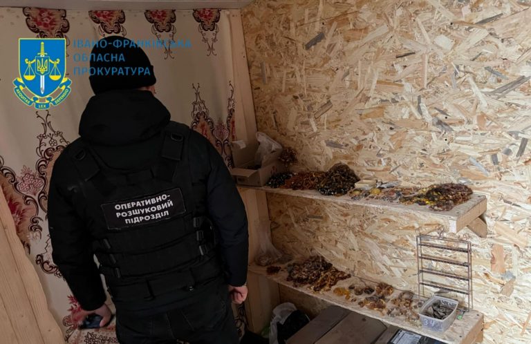 На Прикарпатті судитимуть організатора злочинної групи торговців бурштином 10 712