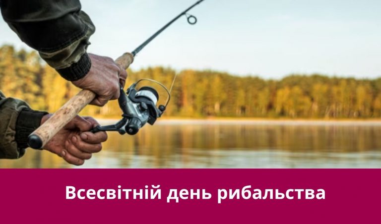 NA SAJT KARTYNKA 17