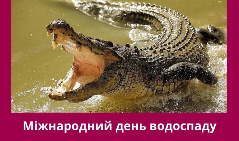 NA SAJT KARTYNKA 2 1