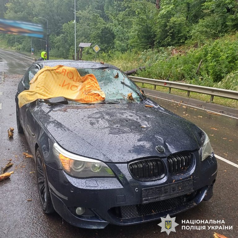 Поблизу Львова на "BMW" під час руху впало дерево: постраждала 17-річна дівчина (ФОТО) 3 504379710 1154937220011381 7888291313247351000 n