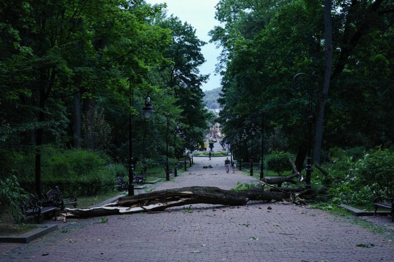 Внаслідок негоди у різних районах Львова впали дерева (ФОТО)