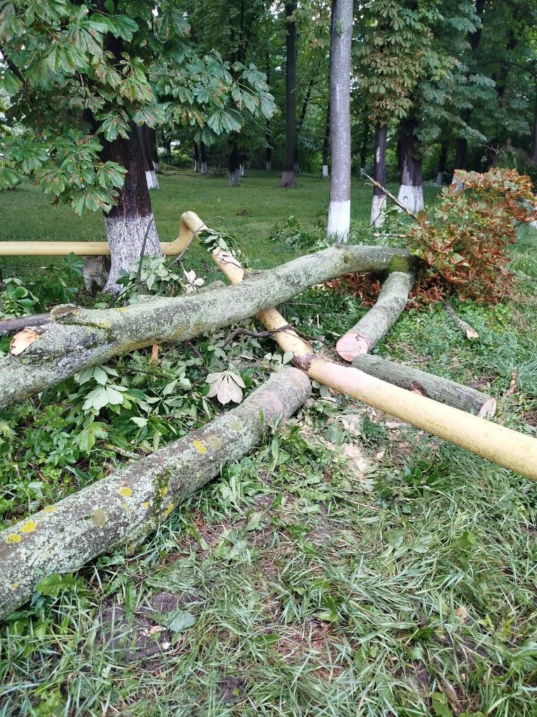 У Заболотові дерево впало на газову трубу, спричинивши витік газу (ФОТО) 3 519003076 1262653722322544 7925666944840095563 n