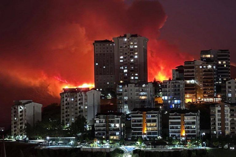 У Туреччині аномальна спека. Вирують лісові пожежі 8 IMG 20250727 075423 449