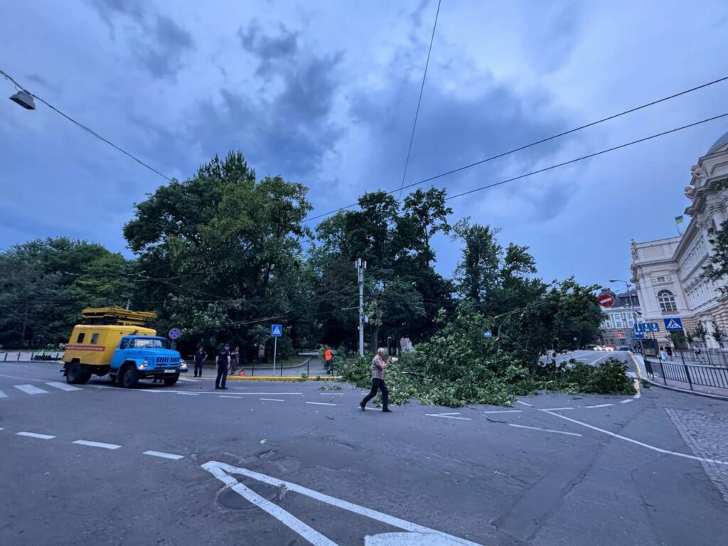 Внаслідок негоди у різних районах Львова впали дерева (ФОТО) 3 IMG 5201