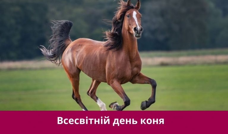11 липня 2025 року: яке сьогодні свято, події, іменини