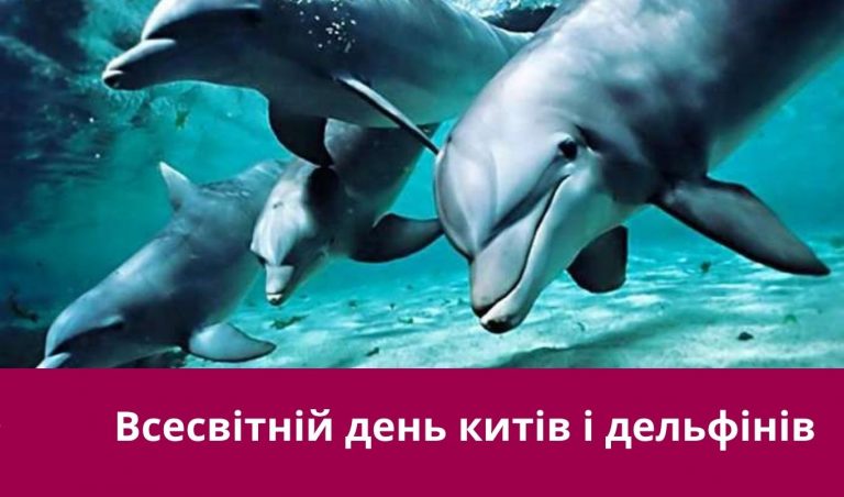 23 липня 2025 року: яке сьогодні свято, події, іменини 1 NA SAJT KARTYNKA 4