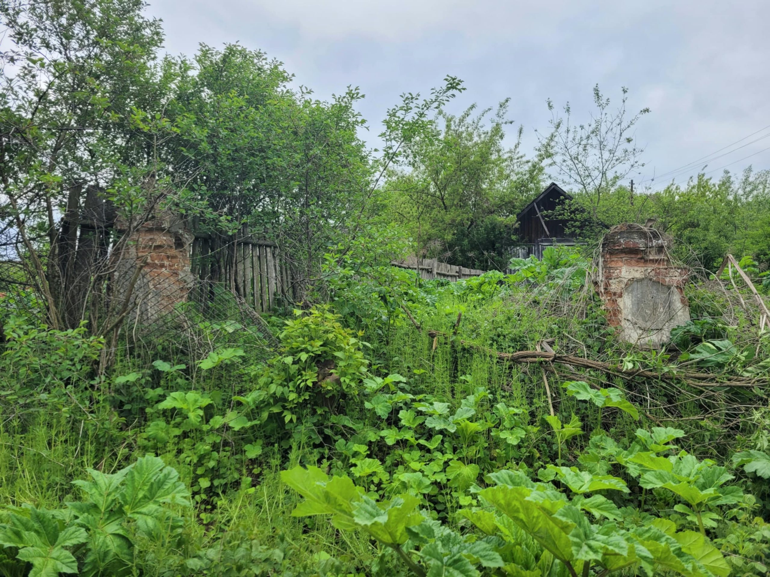 Ймовірно, залишки в'їздної брати на територію маєтку Левицького. Фото. С. Петрицький
