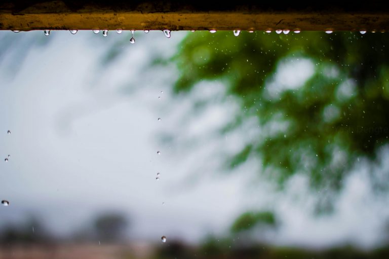 pexels yashdengre 725876