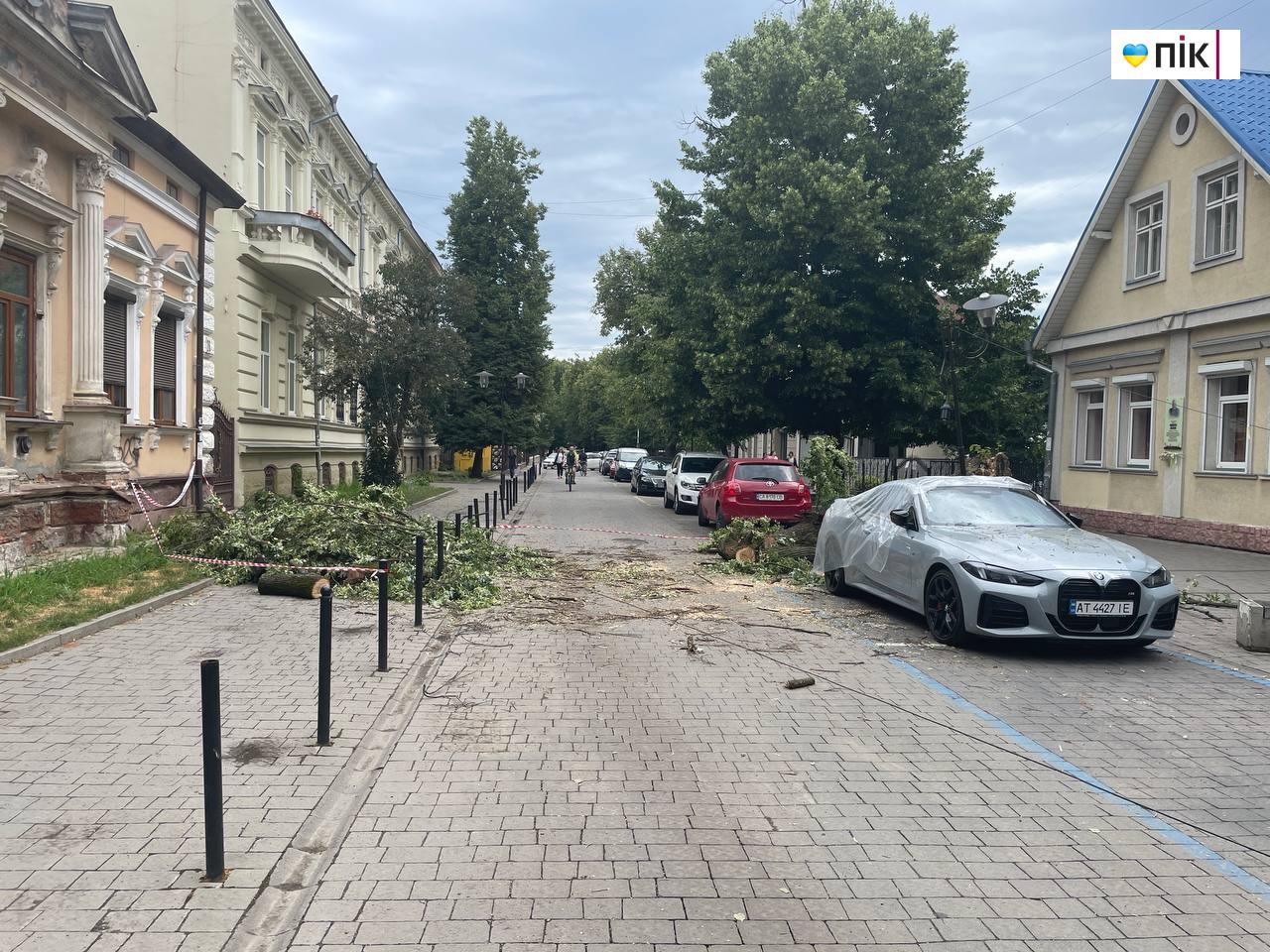 Наслідки негоди: у центрі Франківська впало дерево (ФОТО, ВІДЕО) 3 photo 2025 07 09 11 53 07