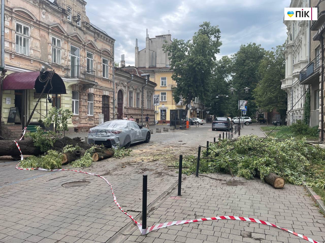 Наслідки негоди: у центрі Франківська впало дерево (ФОТО, ВІДЕО) 4 photo 2025 07 09 11 55 16