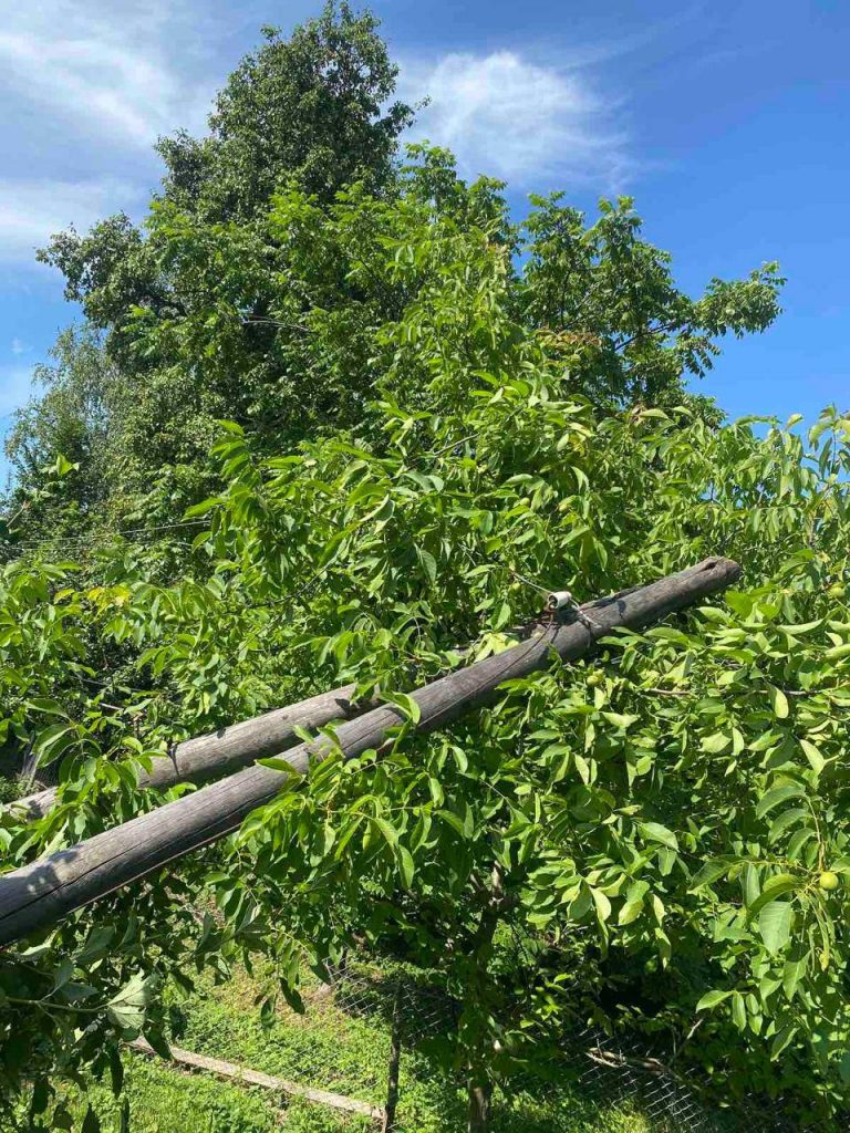 Наслідки негоди: є знеструмлення на Верховинщині та у чотирьох громадах області 12 photo 2025 07 18 12 10 45