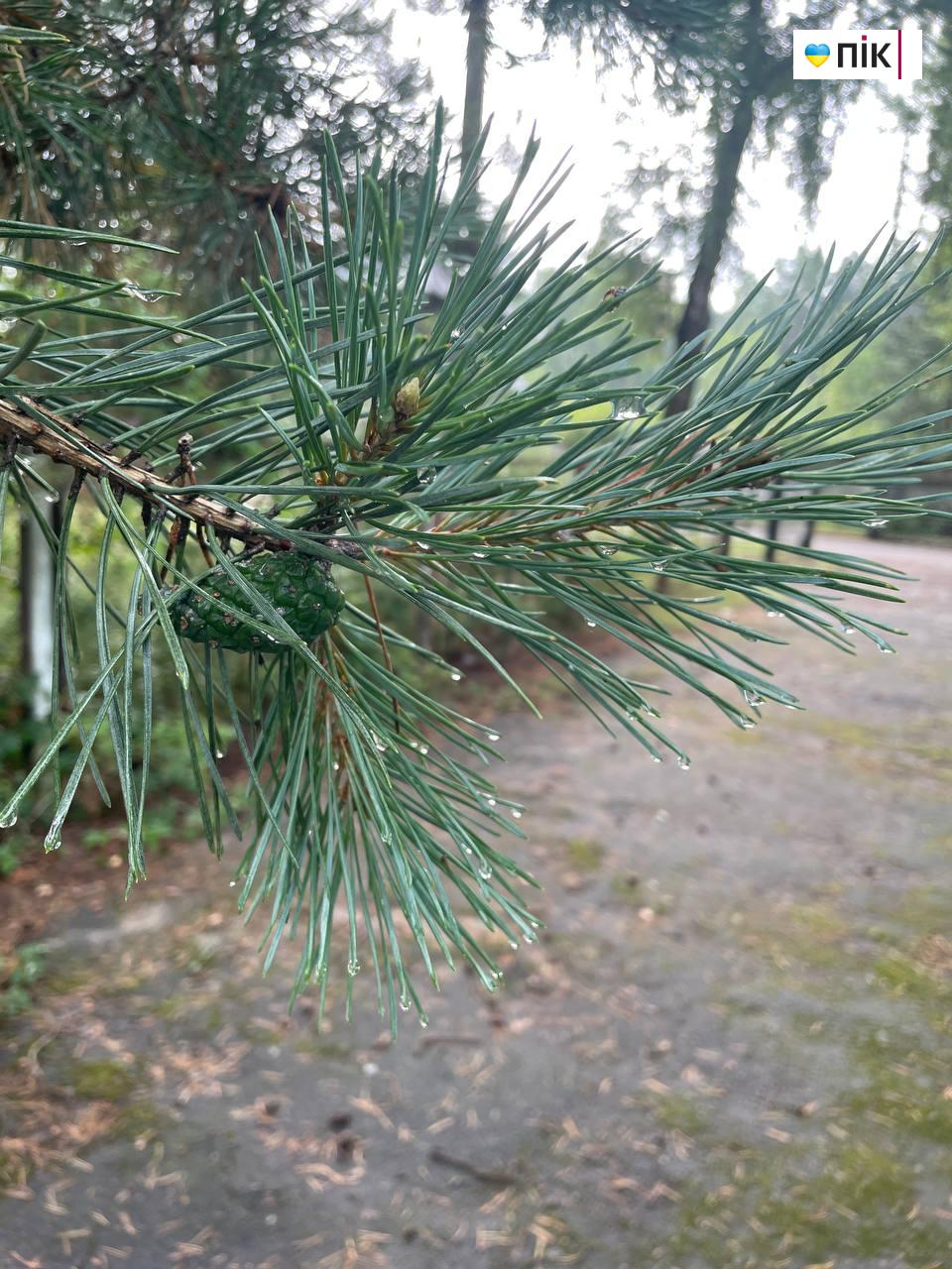 photo 2025 07 26 11 40 54