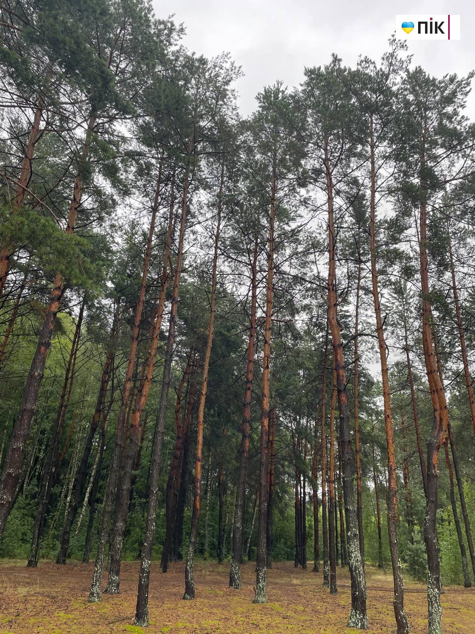photo 2025 07 26 11 41 02 2