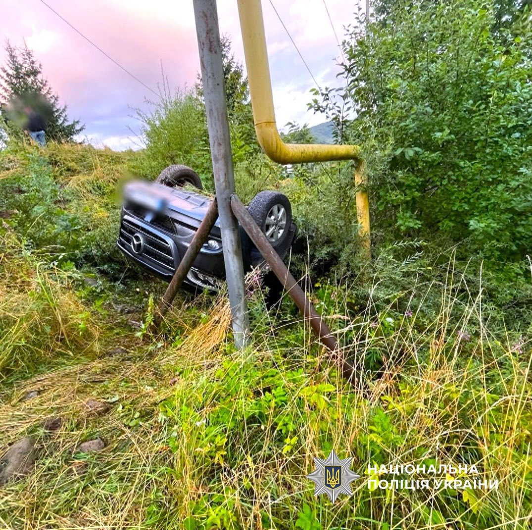 529296578 764396706234561 1362691567315829294 n