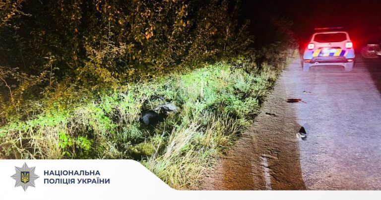 На Прикарпатті мопед врізався в дерево: водій загинув (ФОТО) 2 533179269 770082048999360 6306838550998498519 n 1