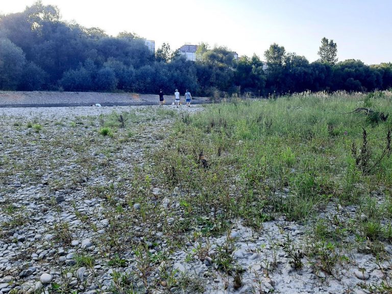 Куди пропала вода з Бистриці Надвірнянської 11 IMG 20250814 174314 849