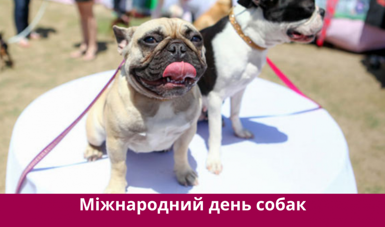 NA SAJT KARTYNKA 20250826 070236 0000