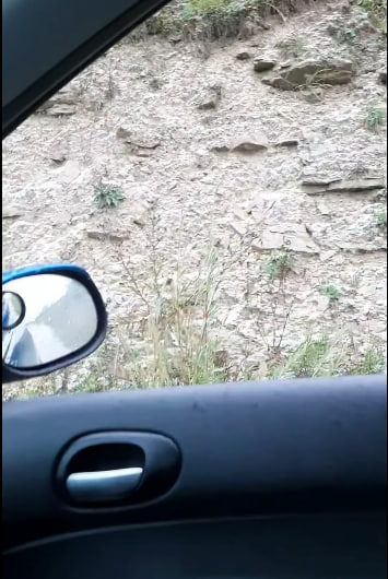 photo 2025 08 24 10 32 05 3 1
